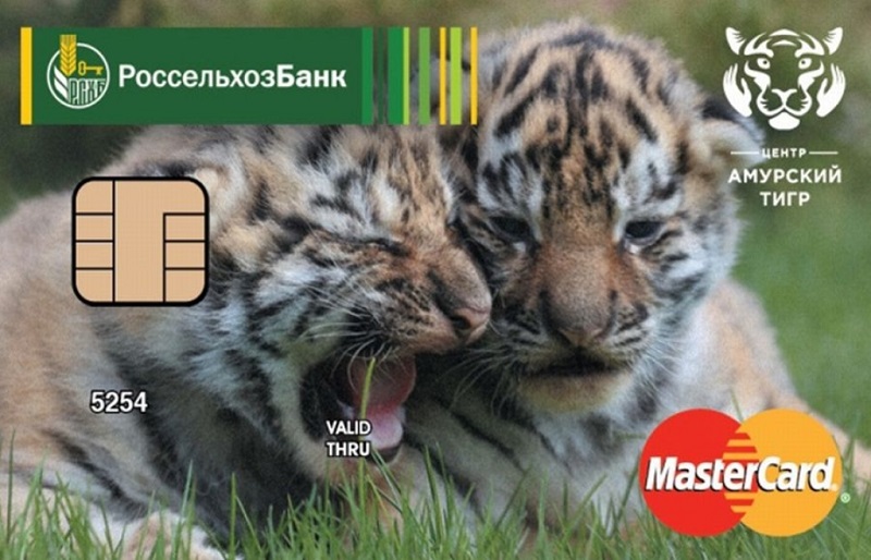Кредитка Амурский тигр от Россельхозбанка