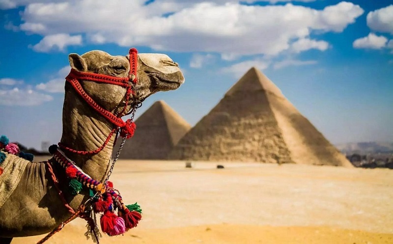 Кредиты в Черепаново на отдых в Египте